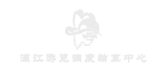 客户案例17
