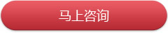 高端定制咨询