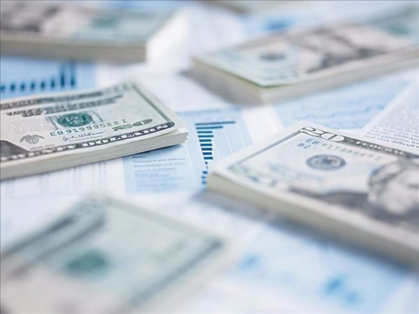 菏泽注册公司资金应怎么填写？