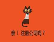 可以注册哪些公司 公司的组织形式都有哪些